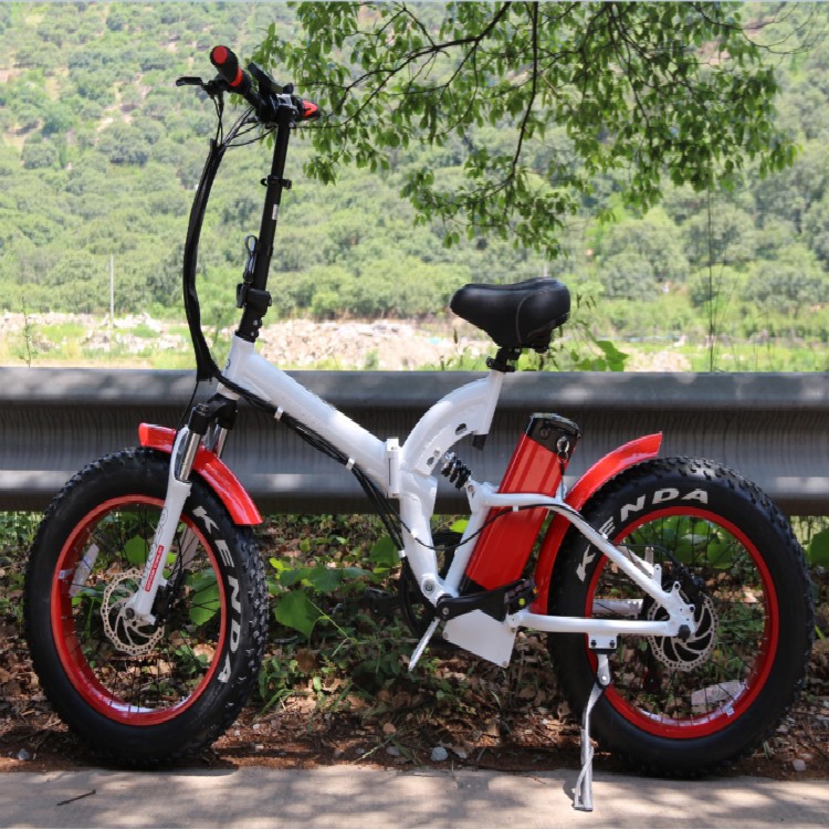 LEEF8720 전기 접이식 자전거