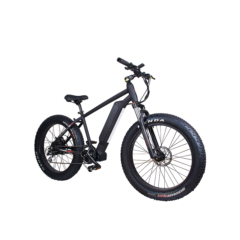 LEEM 2220-1 전기 산악 자전거 고성능 모터