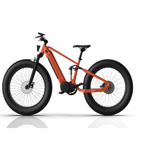 LEEM 2110-1 전기 산악 자전거