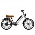 Leebike 전기 자전거