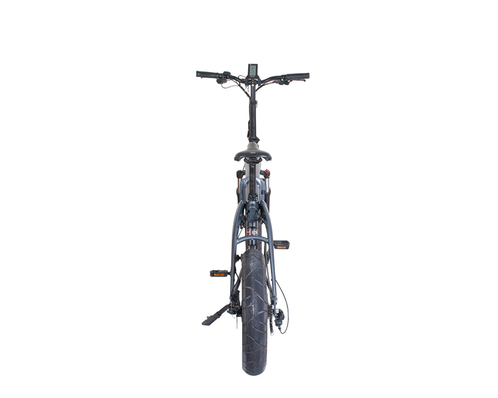 Folding Electric Bike lee9120