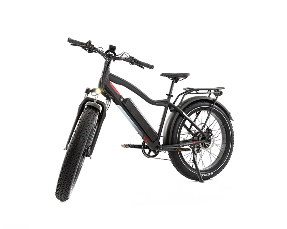 Lee9050 Electric Mountain Bike Fat Tire High Power Motor