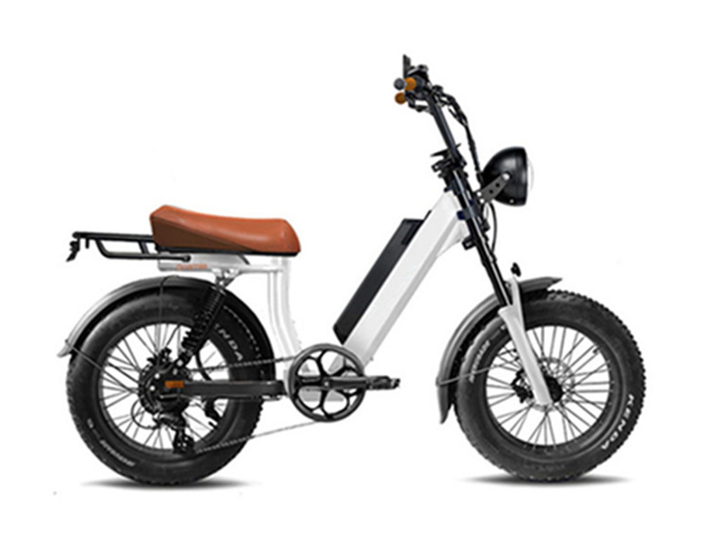 utility e-bikes electric moped bikes fat tire electric bike Lee9400