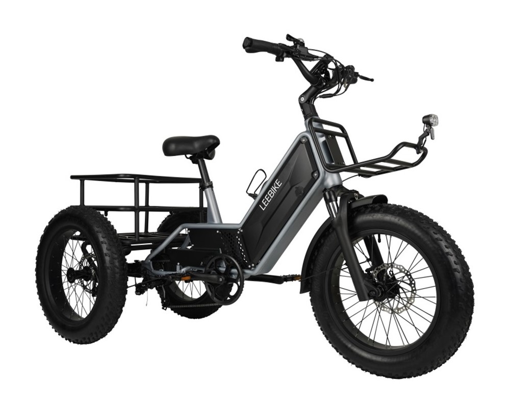 3 Wheel Hidden Battery Electric Trike LEE992