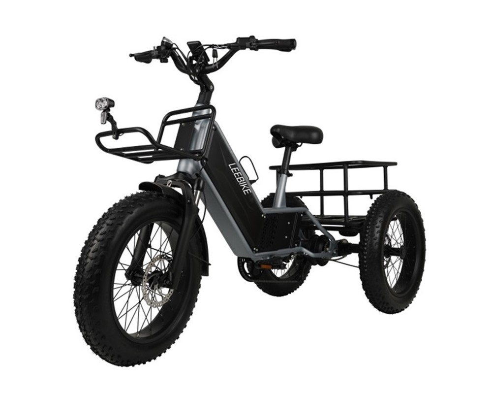 3 Wheel Hidden Battery Electric Trike LEE992