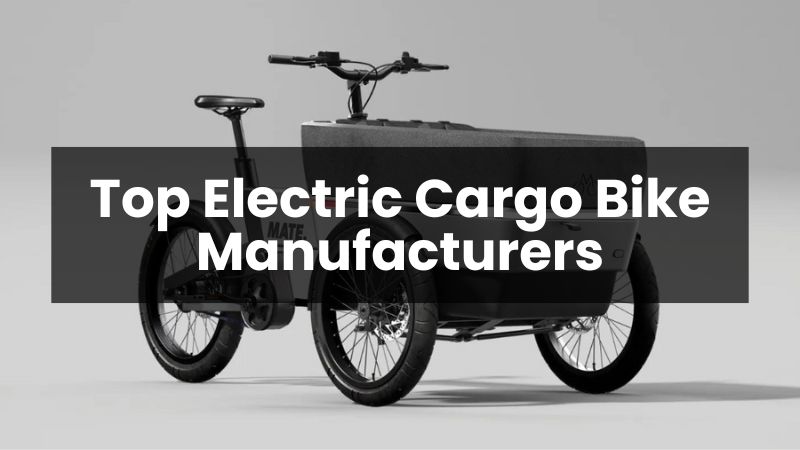 Top 10 Electric Cargo Bike Manufacturers in the World 2025