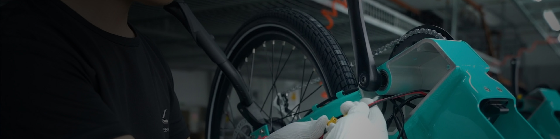 Electric Folding Bike