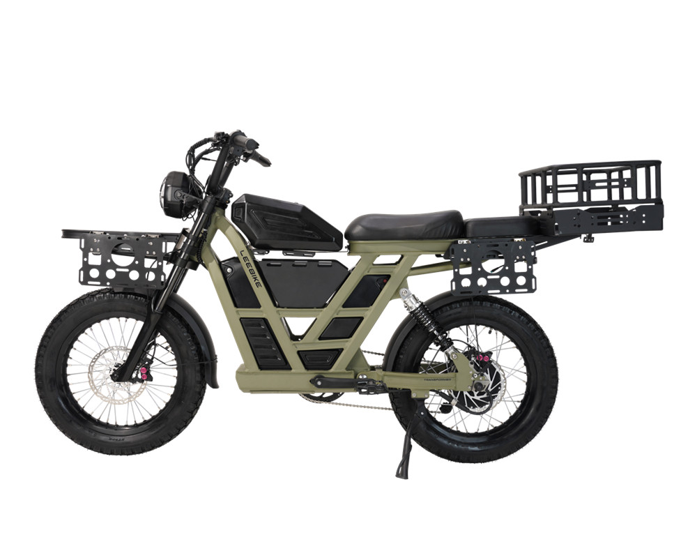 Electric Fat Tire Bike